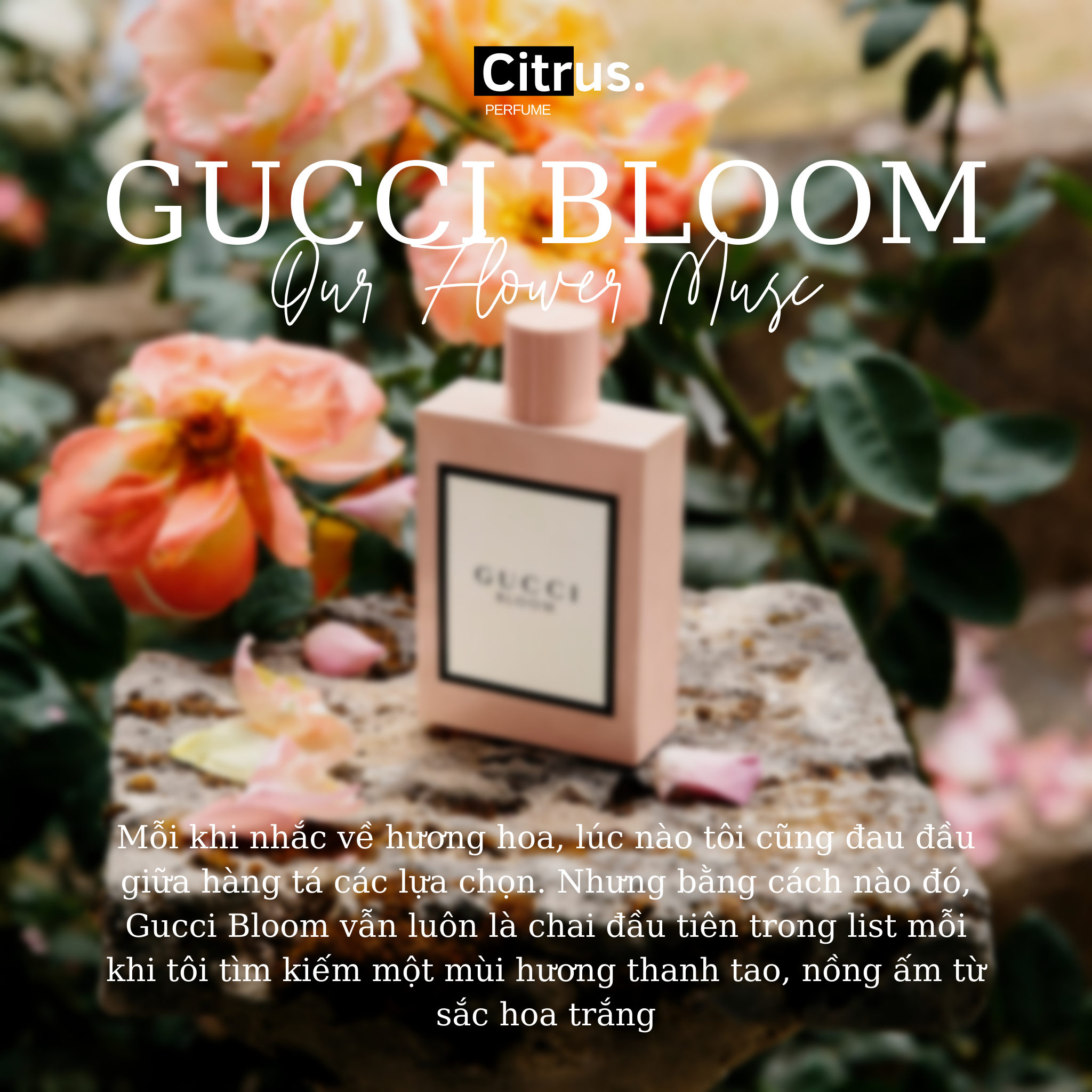 10ml Gu.cci Bloom EDP (Bloom Hồng) | Nước hoa nữ | Citrus Perfume