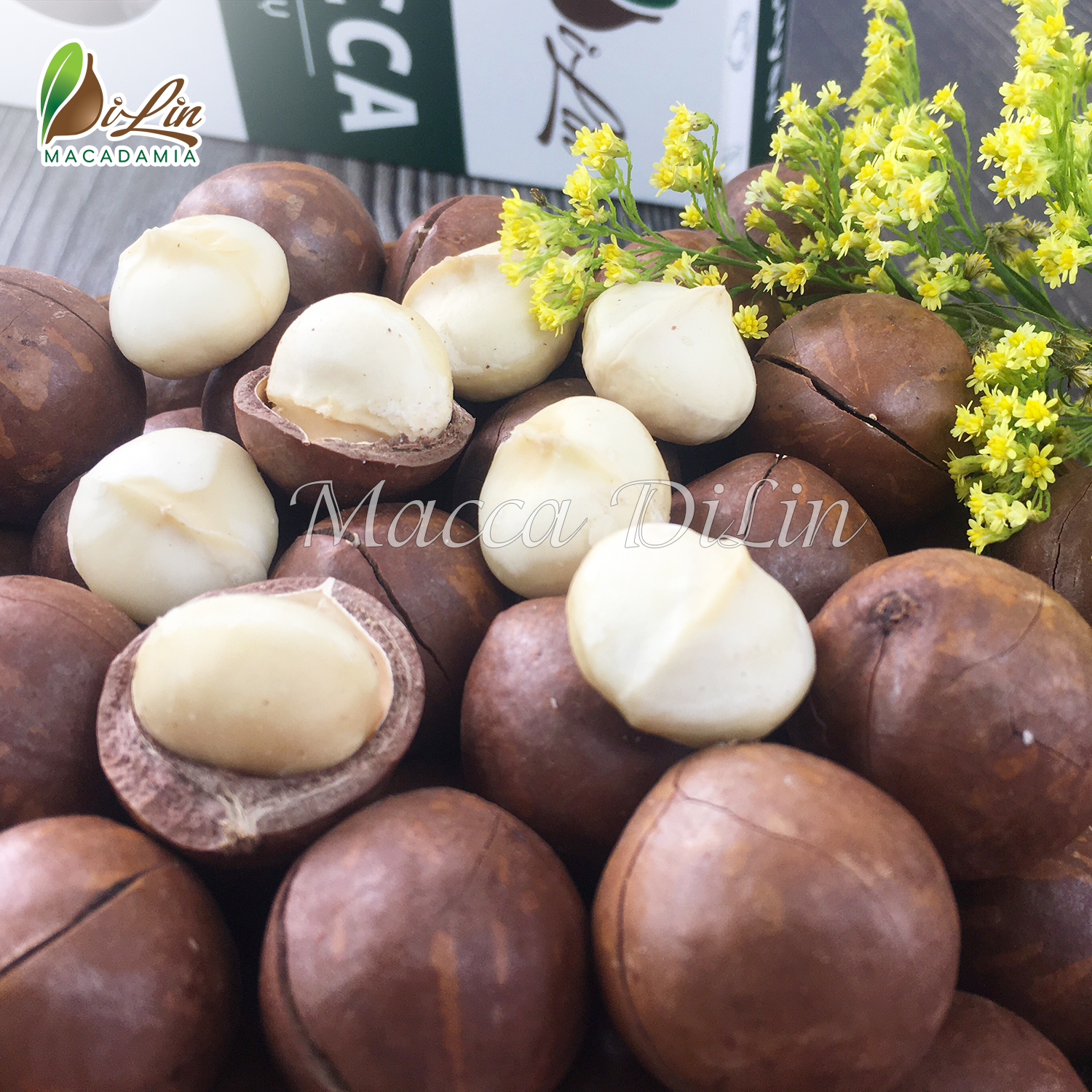 500g Hạt Macca Sạch Di Linh Lâm Đồng