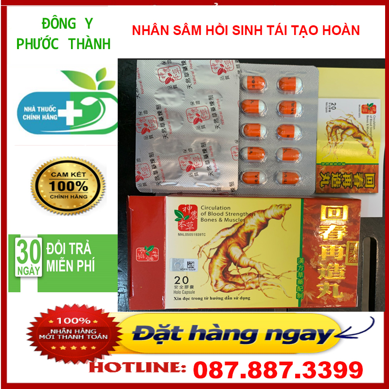 (Hồi Sinh Tái Tạo Hoàn) Circulation of blood strengthen bones & muscles