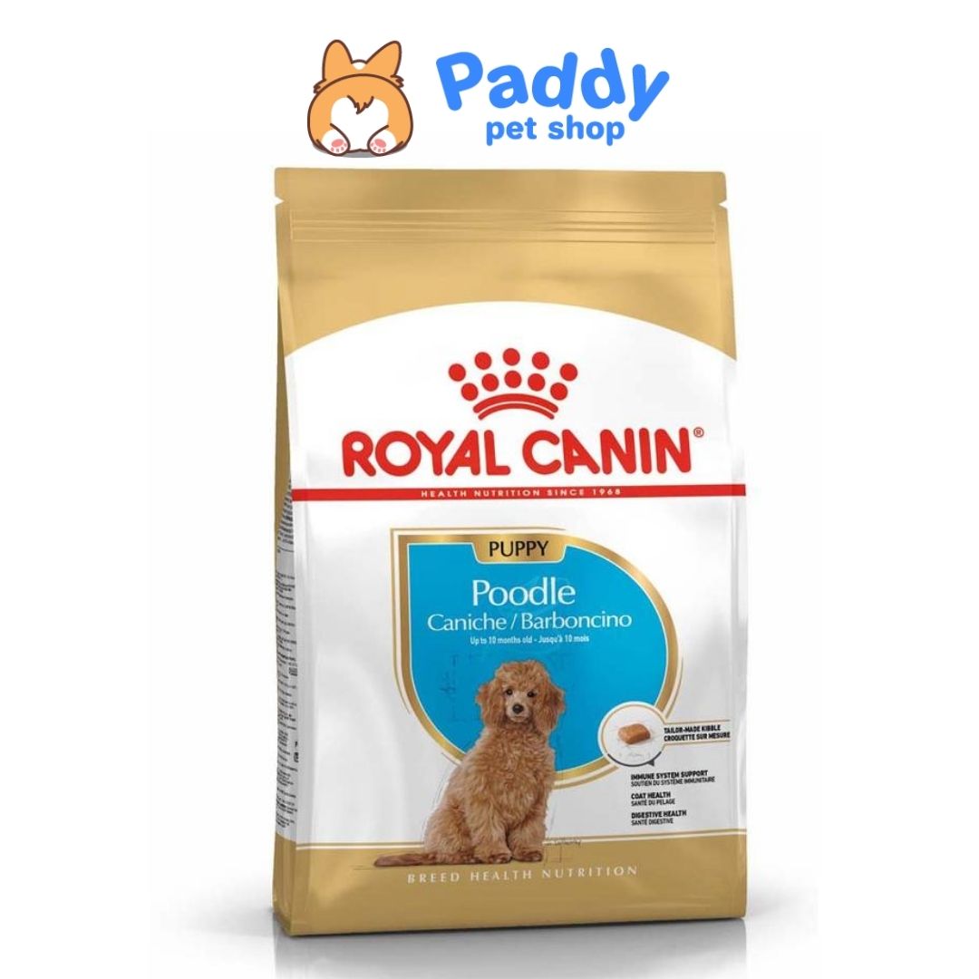 Hạt Cho Chó Con Poodle Royal Canin Poodle Puppy