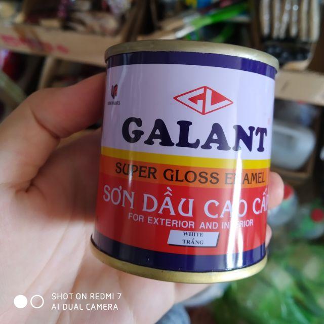 SƠN DẦU GALANT MÀU TRẮNG , VÀNG , ĐỎ , ĐEN , BẠC , XANH BLUE, XANH DƯƠNG, XANH LÁ DÙNG CHO GỖ VÀ KIM LOẠI DUNG TÍCH 70 ML