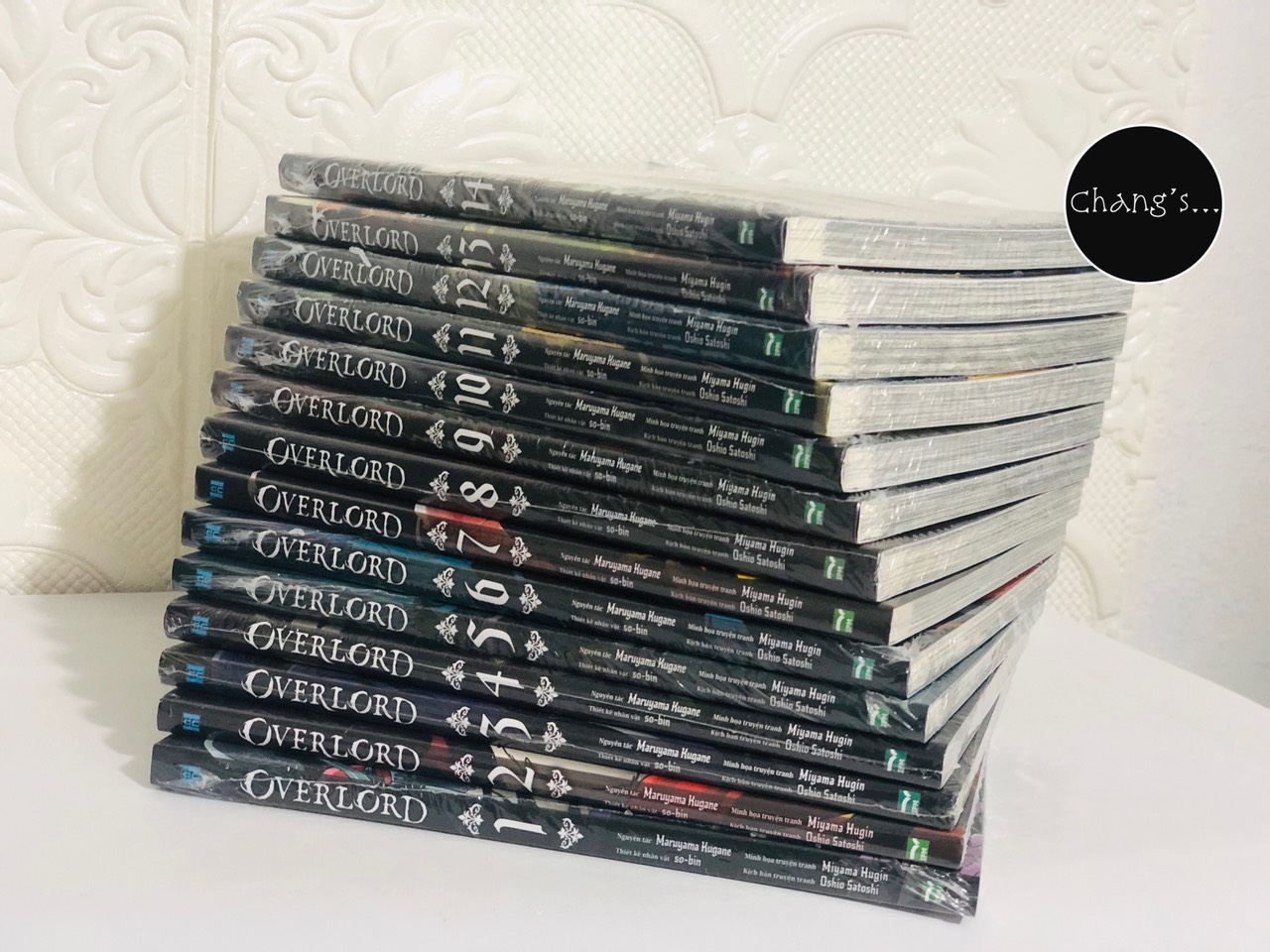 Truyện tranh Overlord full 14 tập - Chang Book