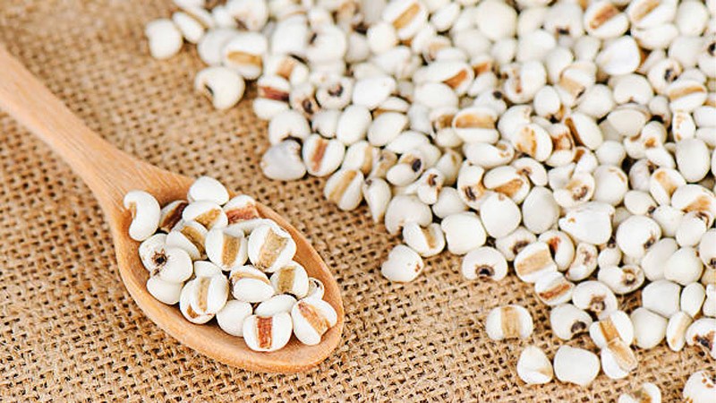 Hạt bobo ý dĩ loại ngon ( Barley seed )