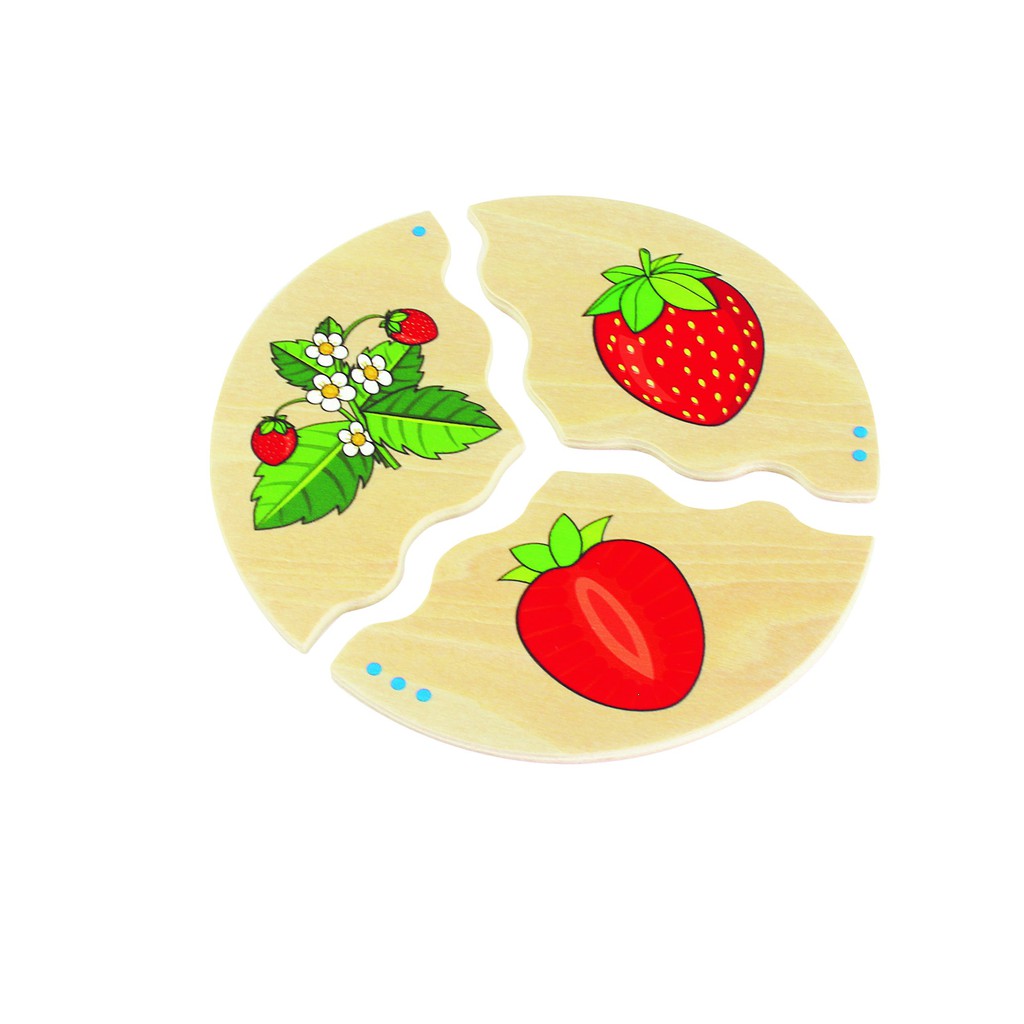 Montessori  Bộ ghép hình Trái cây NAWITO Fruits Cho trẻ 3+ - Đồ Chơi Phát