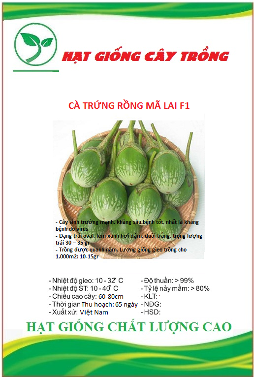 Viên đất nung ( sỏi nhẹ ) - Bao 5dm3 ( KT 10-20mm ) - 2.5kg/túi