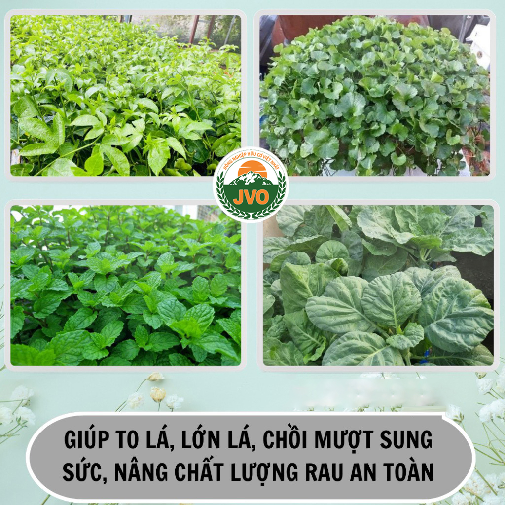 Phân Bón Lá Vi Lượng Combi Đức 30g JVO45 NongNghiepVietNhat