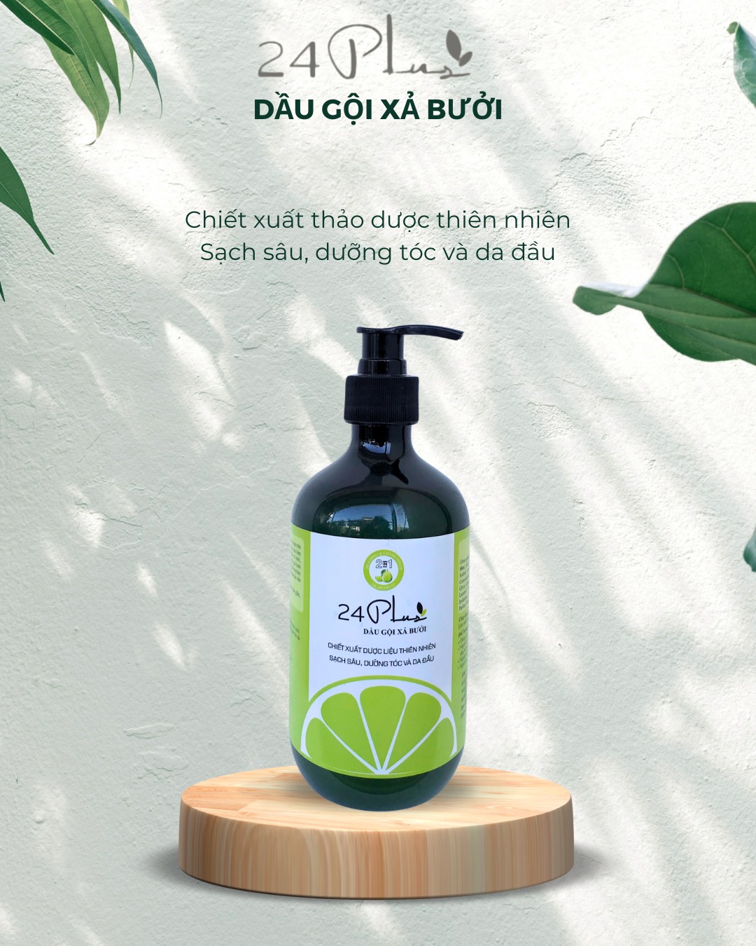24plus - dầu gội xả bưởi