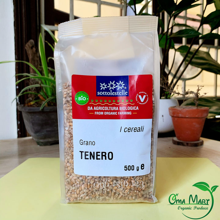 Hạt giống lúa mì hữu cơ Sottolestelle 500g - Ý