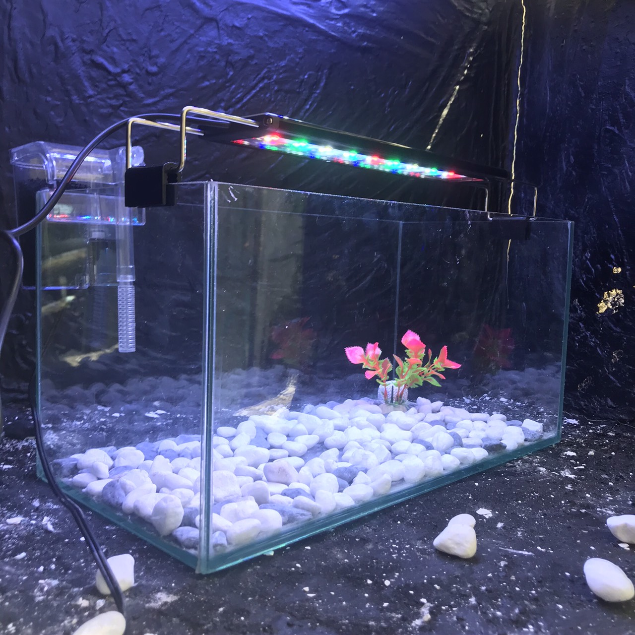 Bể cá mini 40cm COMBO đầy đủ dành cho nuôi cá cảnh để bàn