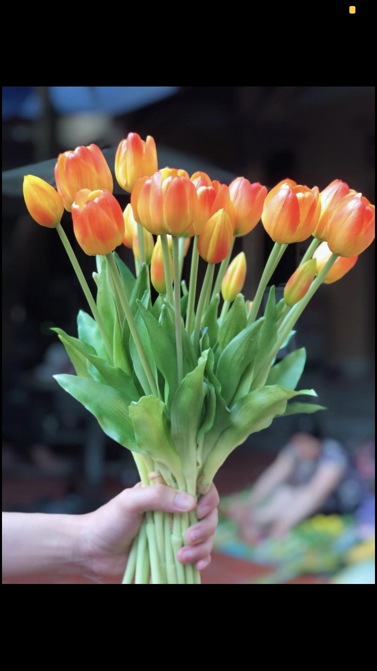 Bó hoa tulip cao cấp 3 bông 2 nụ
