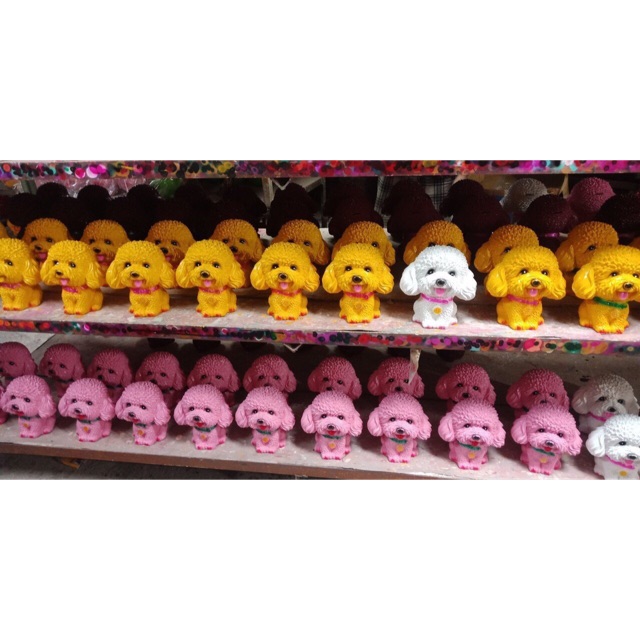 Chó xù tiết kiệm
