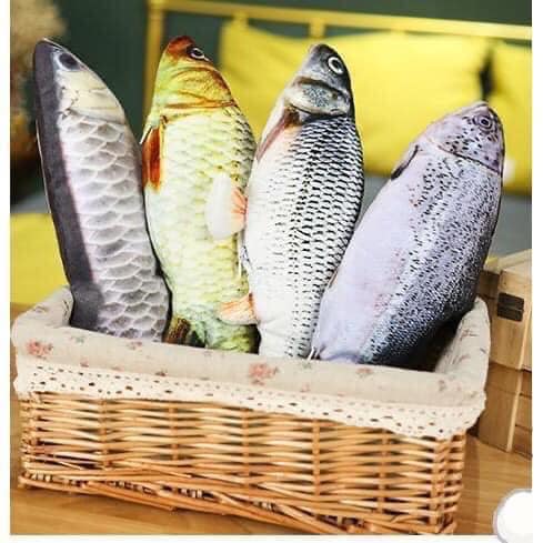 Đồ chơi cá bằng bông chạy bằng pin