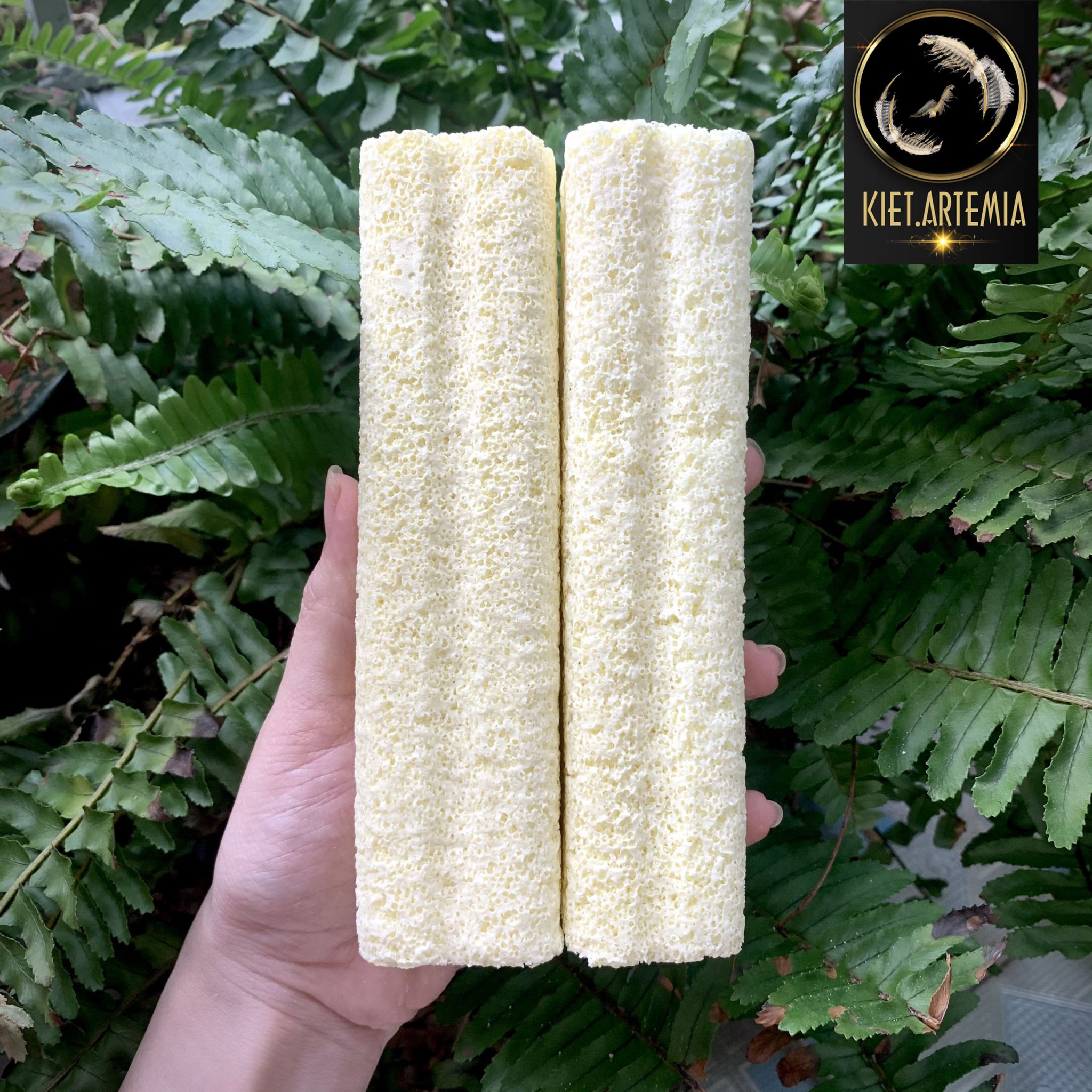 Sứ thanh lọc nước size lớn, dùng cho bể cá cảnh