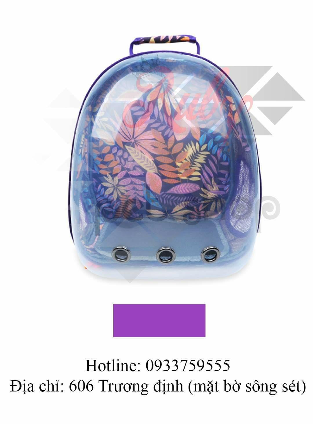 balo phi hành gia hoa trong suốt