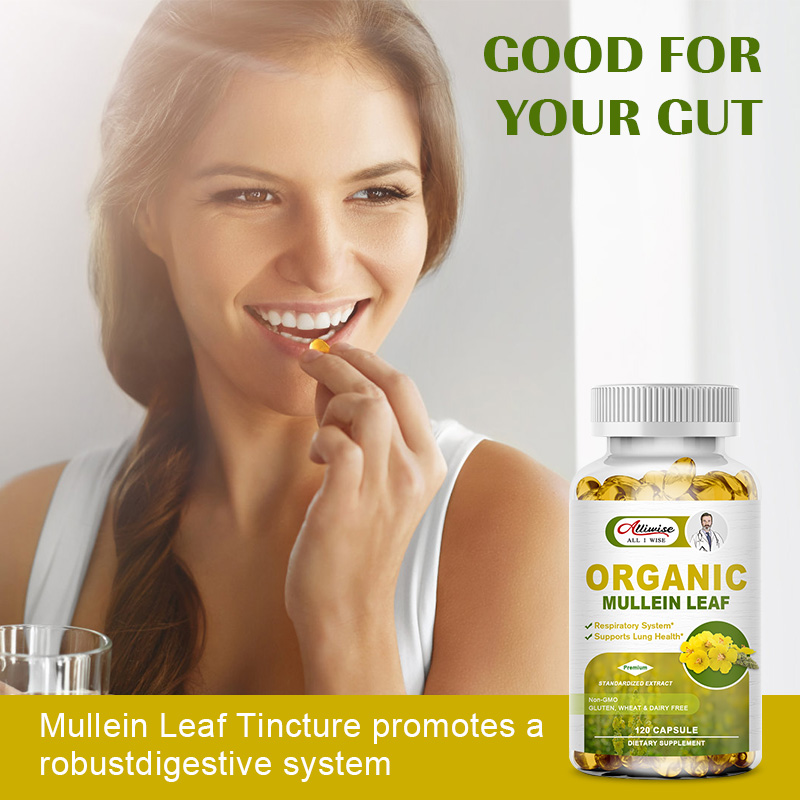 Alliwise Lung Detox Mullein Leaf Capsules bổ sung hô hấp thảo dược để làm sạch phổi, hỗ trợ phổi, cải thiện hô hấp và chức năng miễn dịch