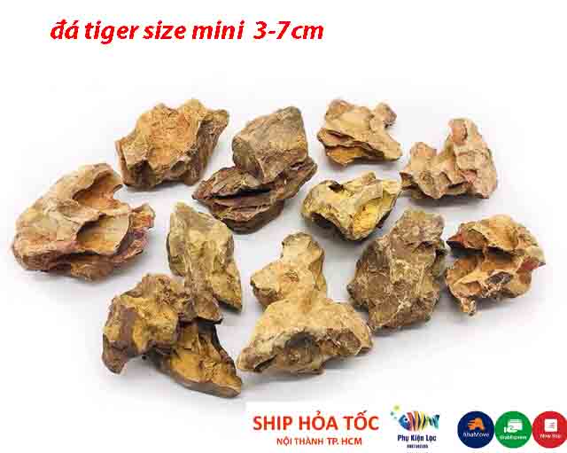 Đá tiger size mini setup hồ cá, thuỷ sinh