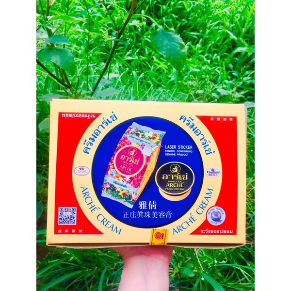 [HCM]KEM AC THÁI (ARCHE) lố 24 hộp chuẩn xịn