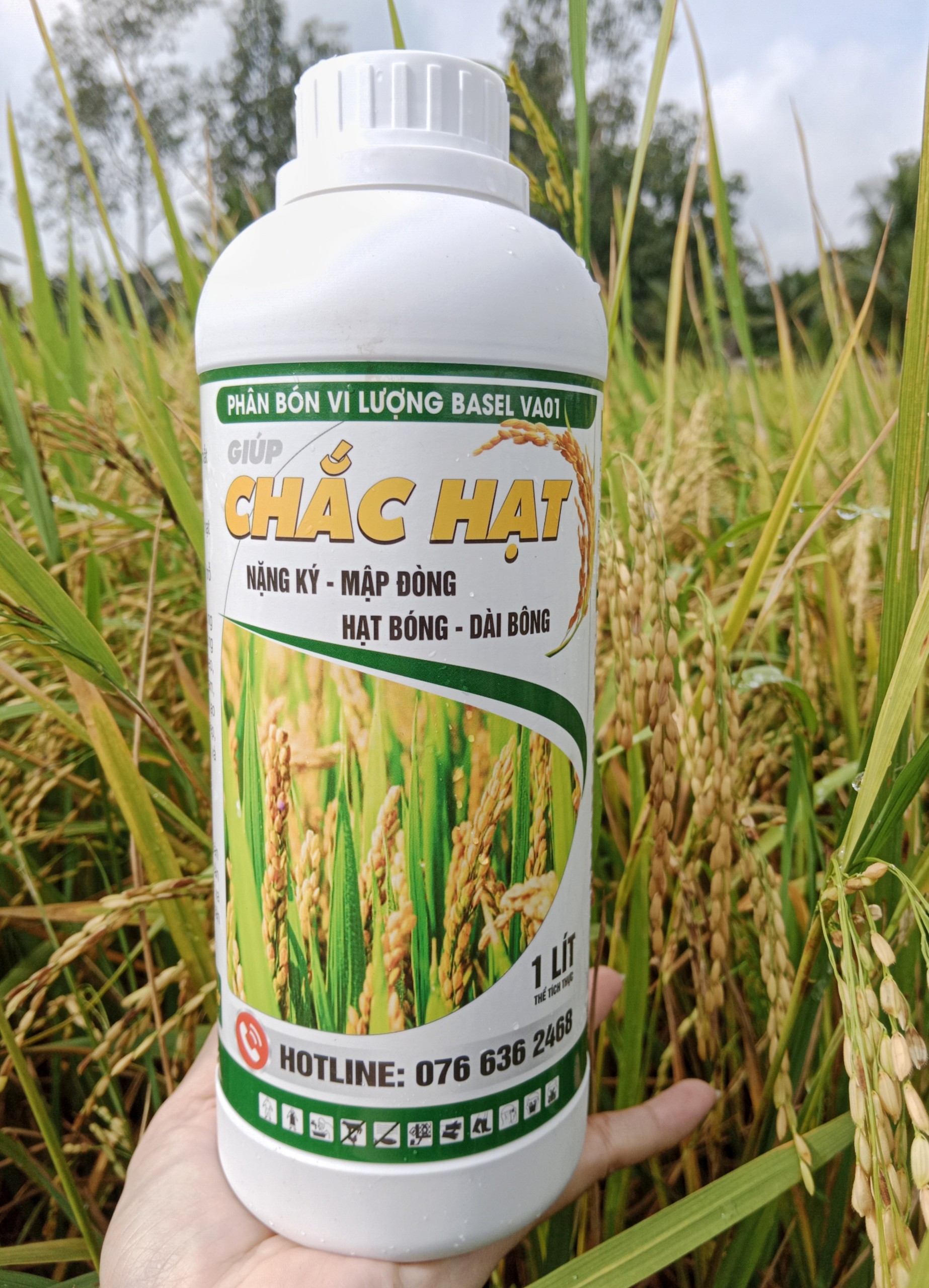 Phân bón Chắc hạt chuyên lúa