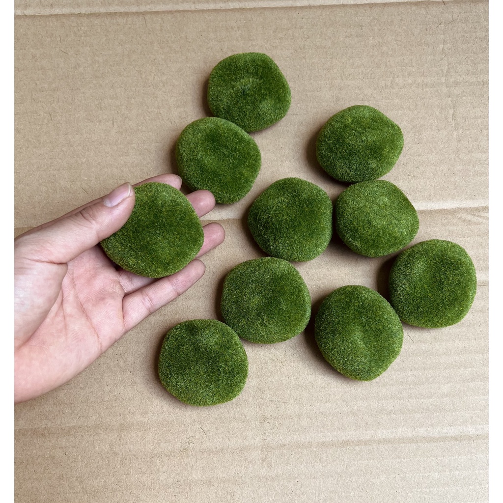 RÊU ĐÁ XỐP trang trí tiểu cảnh handmade