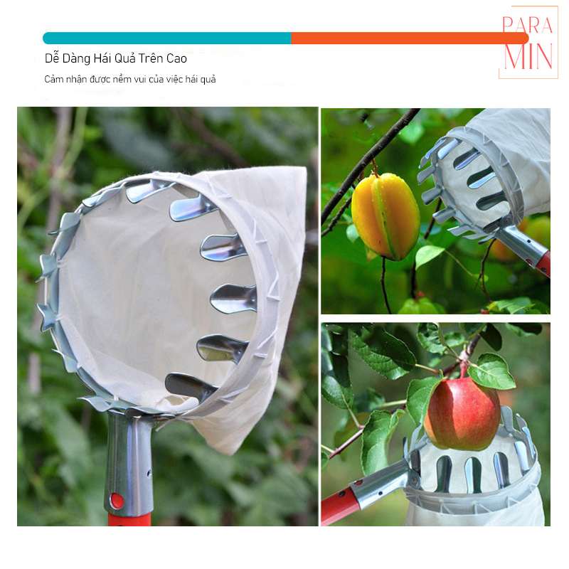 Vợt hái hoa quả dụng cụ hái thu hoạch trái cây đường kính 15 cm việc hái quả chưa bao giờ dễ dàng hơn thế
