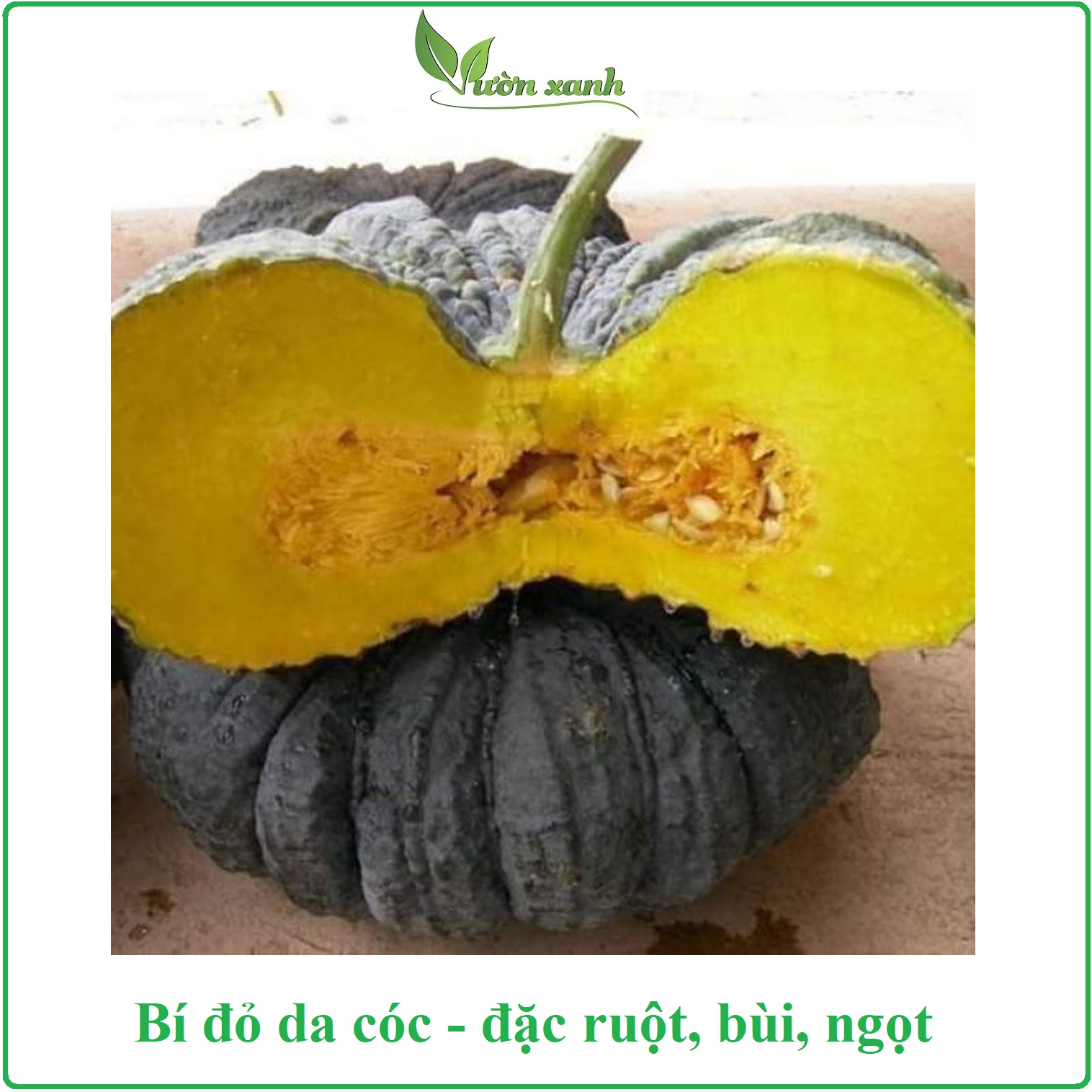 Hạt giống bí đỏ da cóc Rạng Đông bùi, ngọt (5 hạt)