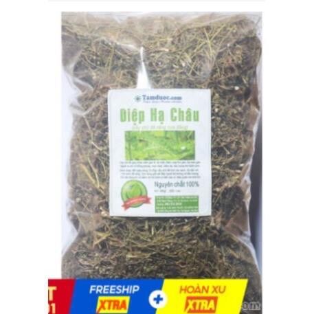 1kg Cây Diệp hạ châu (Chó đẻ răng cưa) khô