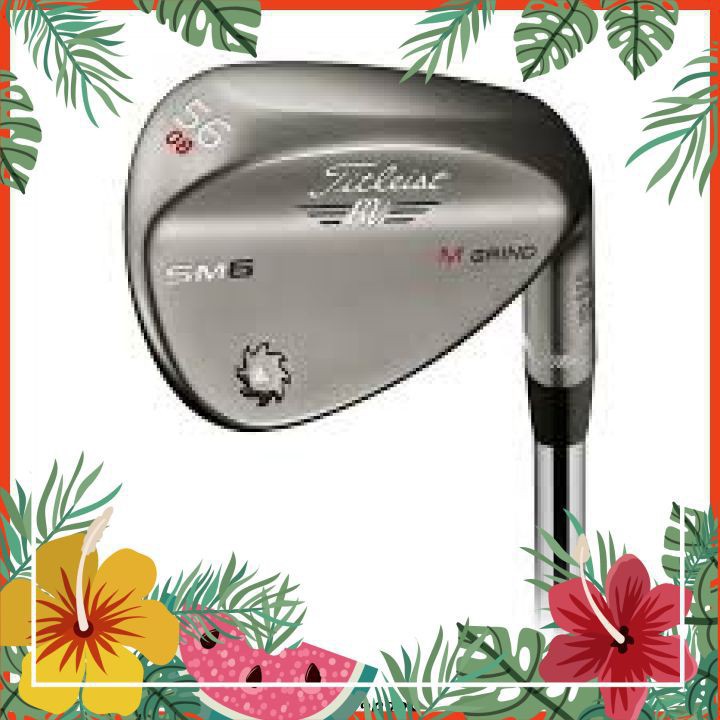 Gậy Golf  Kỹ Thuật