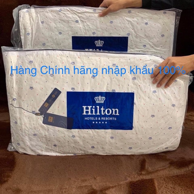 Cặp Ruột Gối Hilton Hàng Nhập Khẩu 100% Cao Cấp