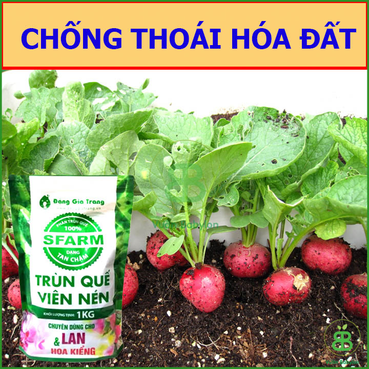 Phân Trùn Quế Viên Nén Sfarm 1KG