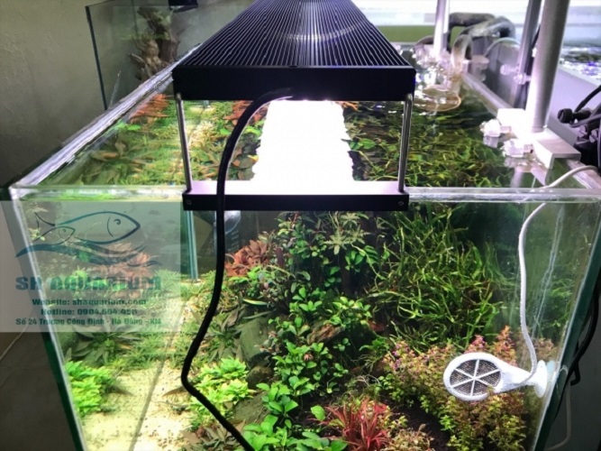 [HOÀN TIỀN 10%]ĐÈN CHIHIROS WRGB2 60CM