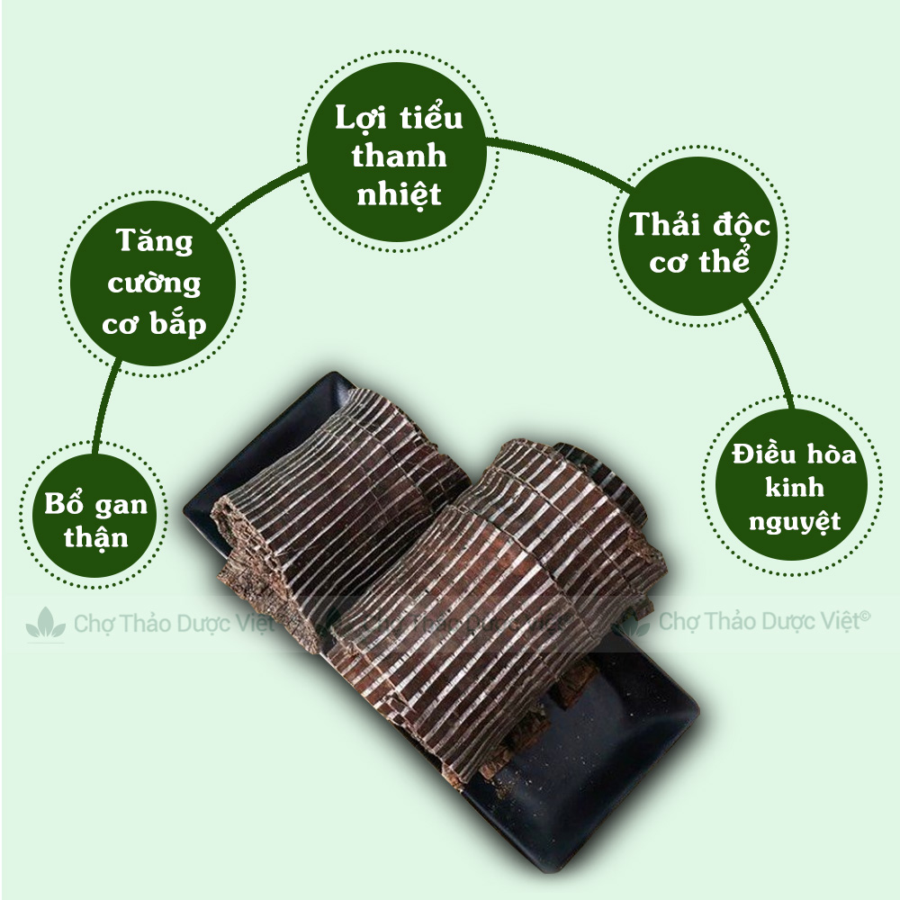 Đỗ trọng 100g, đỗ trọng bắc, hàng dập sợi to đẹp, không vụn, không lẫn tạp chất - Chợ Thảo Dược Việt