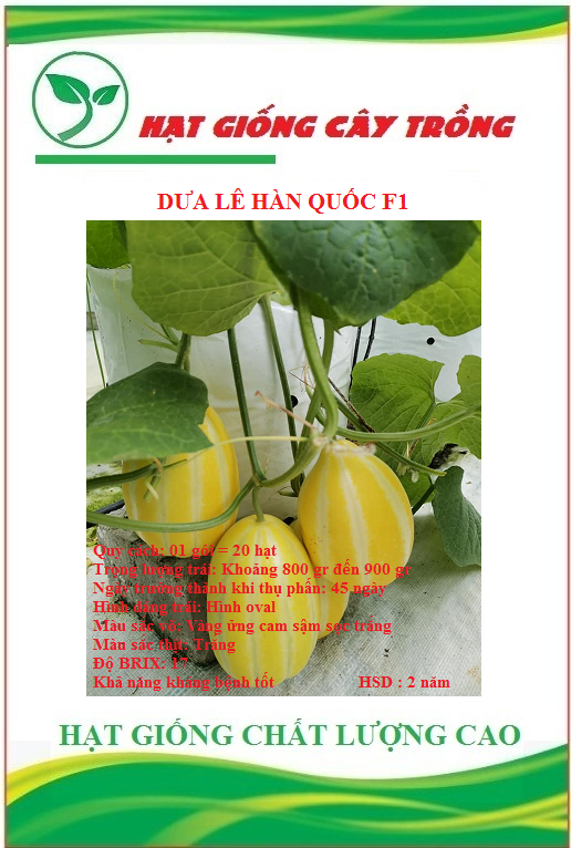Hạt giống dưa lê hàn quốc f1 - gói 10 hạt