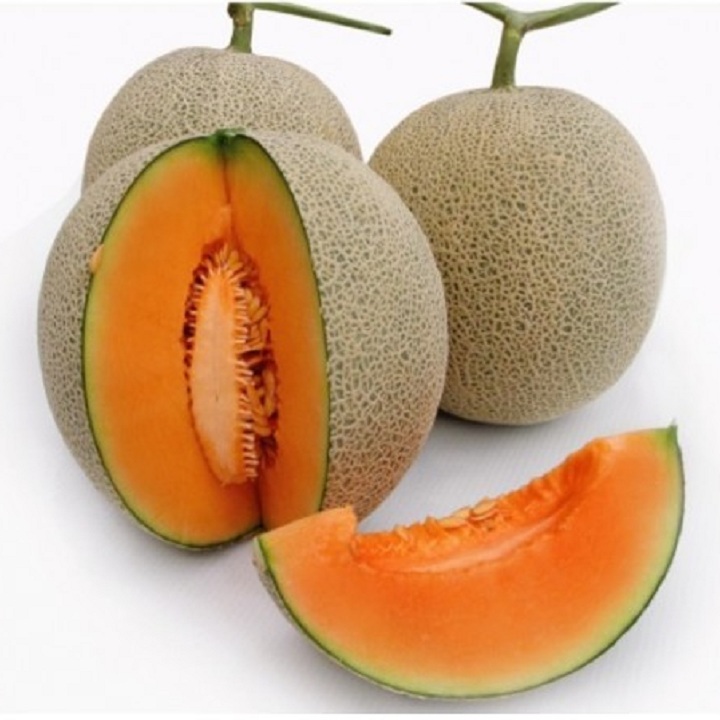 Hạt giống Dưa lưới vàng F1- 1gr