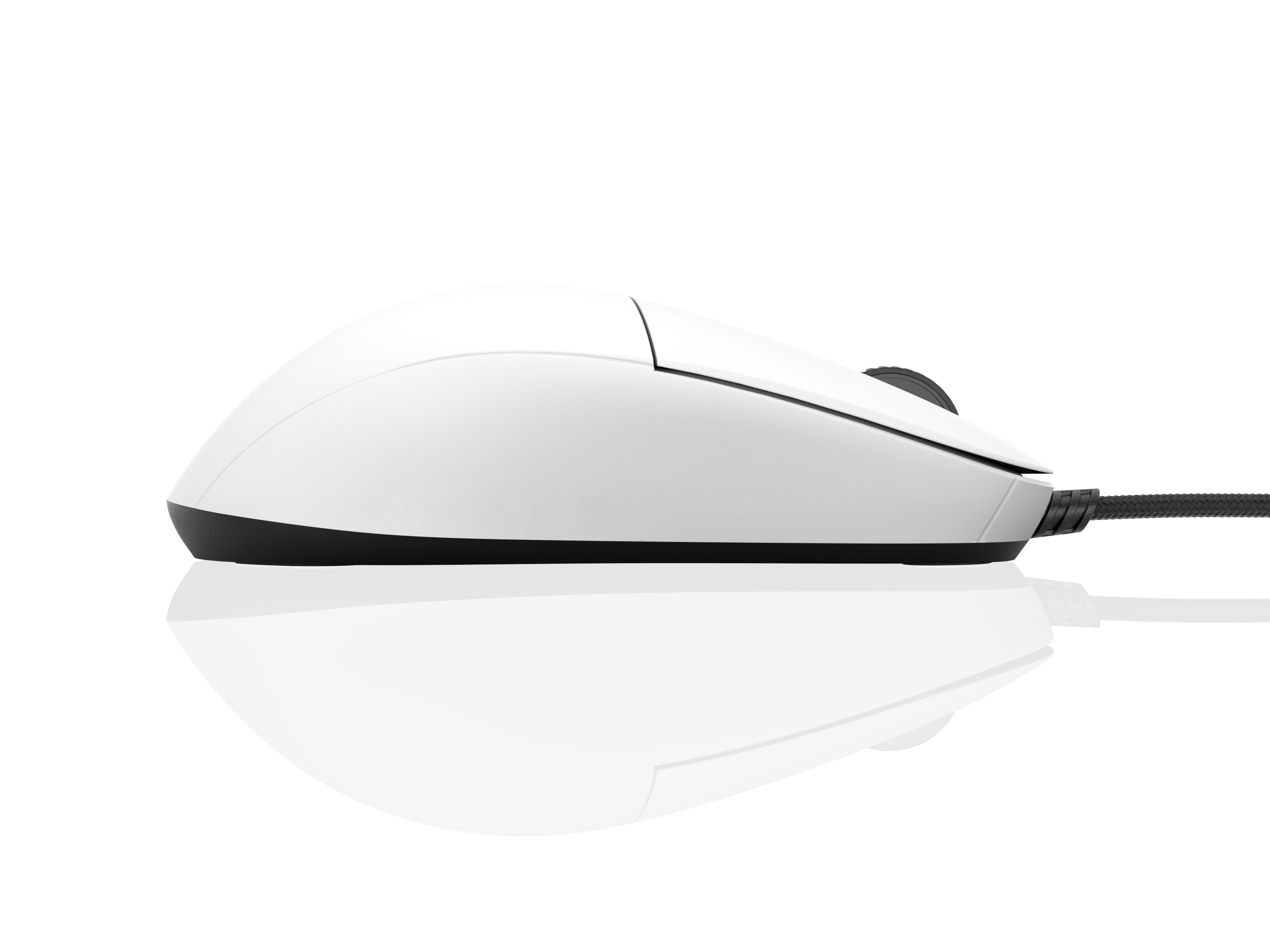 Gaming Mouse EndGame Gear XM1r
