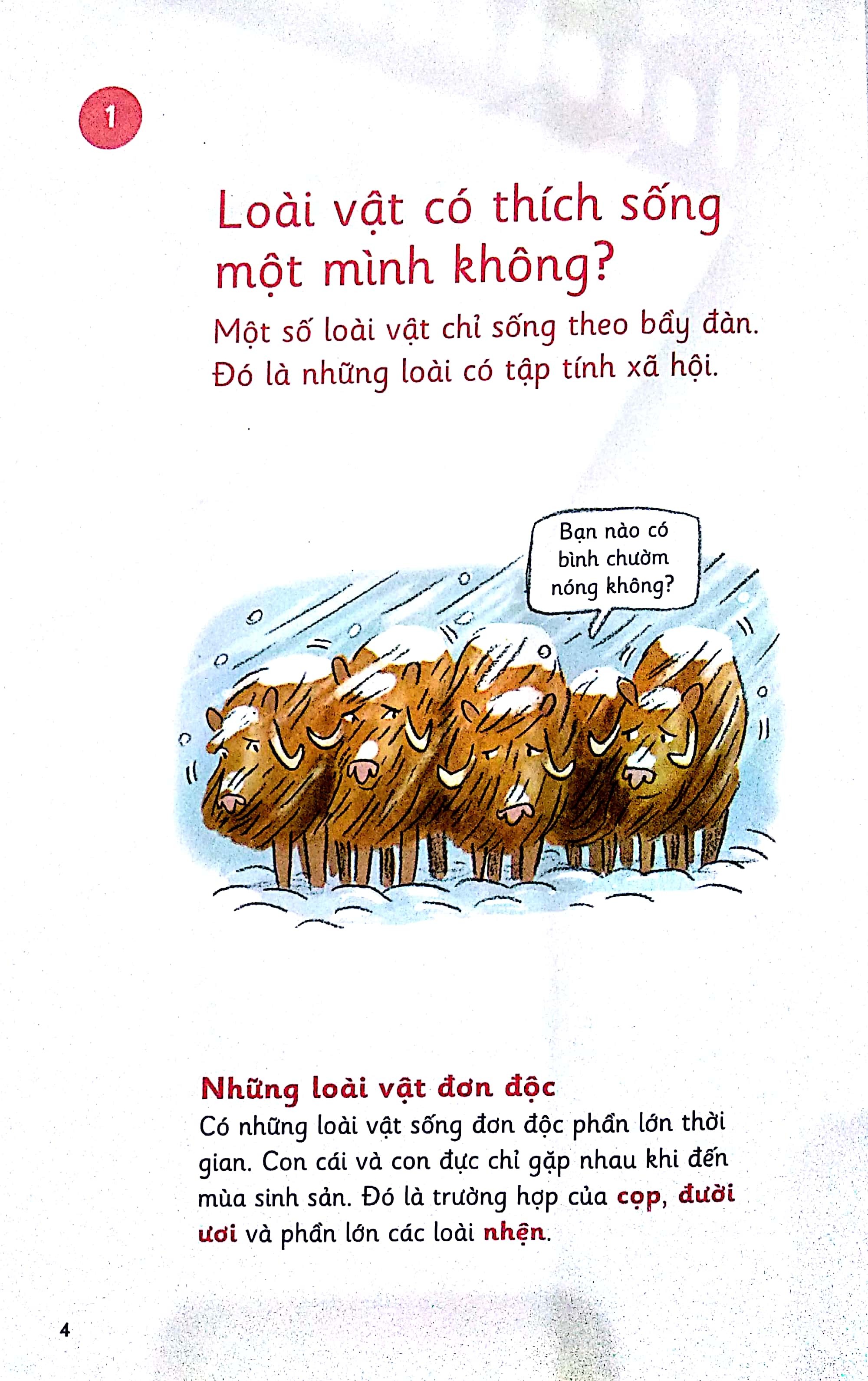 Những Bước Đi Nhỏ - Loài Vật