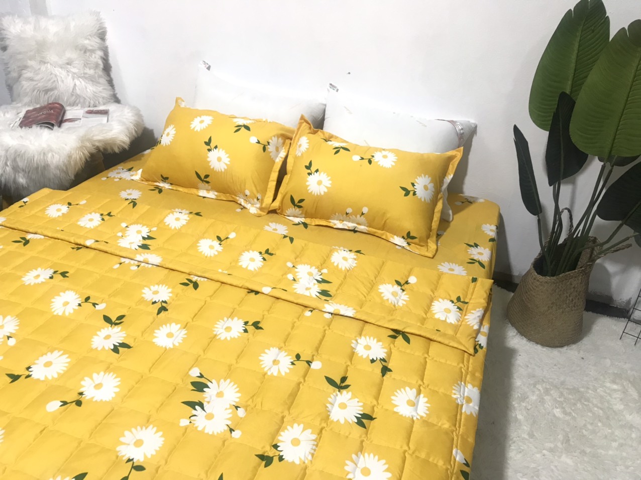 Bộ Ga Gối 3 Món ( Gồm 1 Ga Bo Chun + 2 Vỏ Gối) Mã CH213