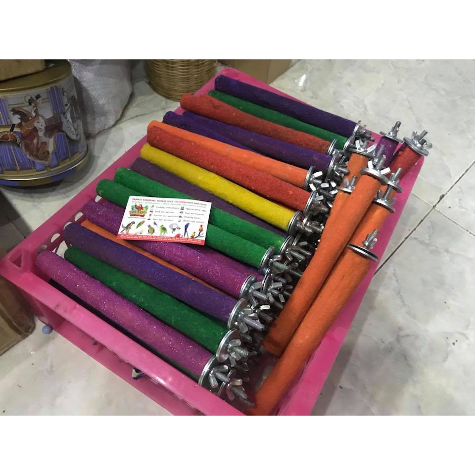Mài móng cho vẹt size trung
