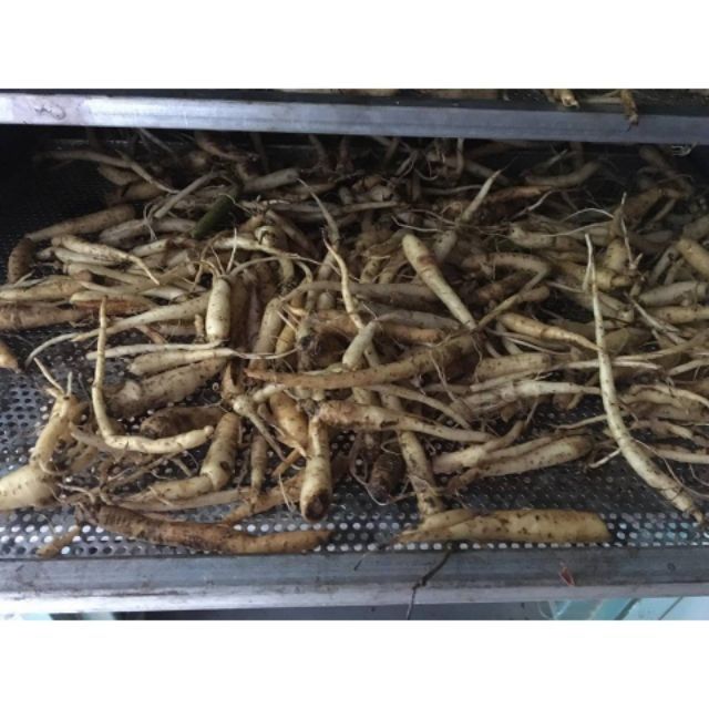 Đẳng Sâm Rừng Khô 1kg
