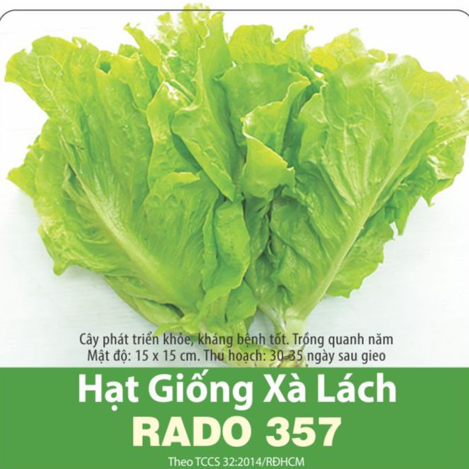 Hạt Giống Xà Lách Cao Sản (2gr)