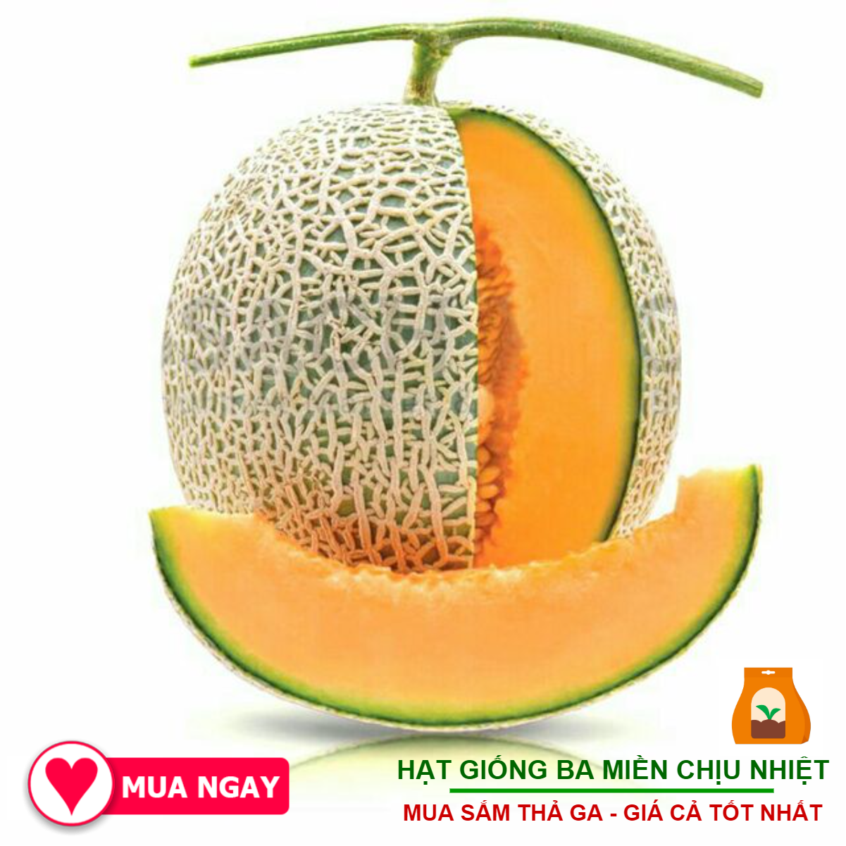 Hạt Giống Dưa Lê F1 Giòn Ngọt - 122 Hạt