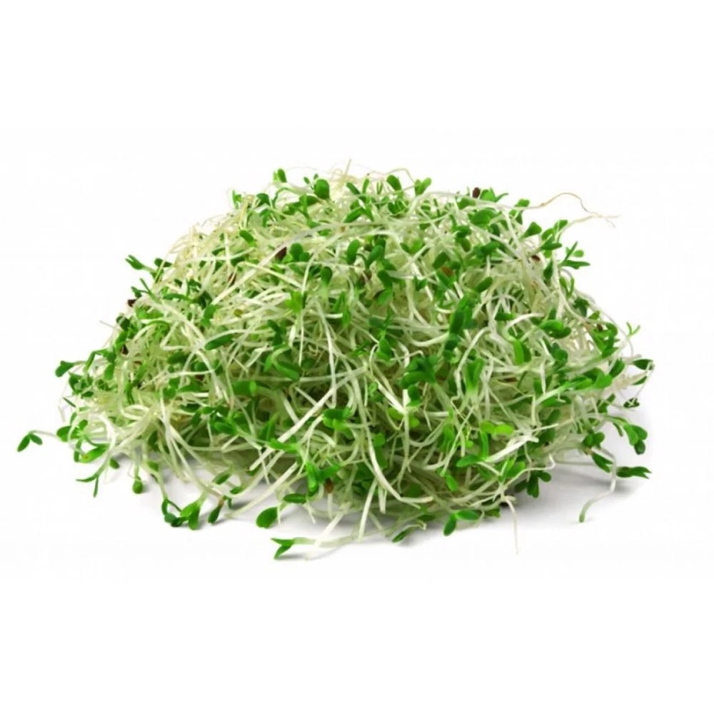 100gram package vegetable sprout seeds
