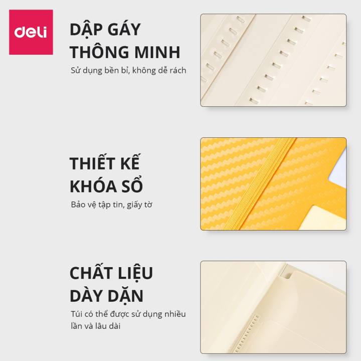 File lá văn phòng A4 Deli - 20/30/40/60 lá - chất liệu PP cao cấp - Nhiều màu - PQ601/PQ602 - Hình ảnh 7