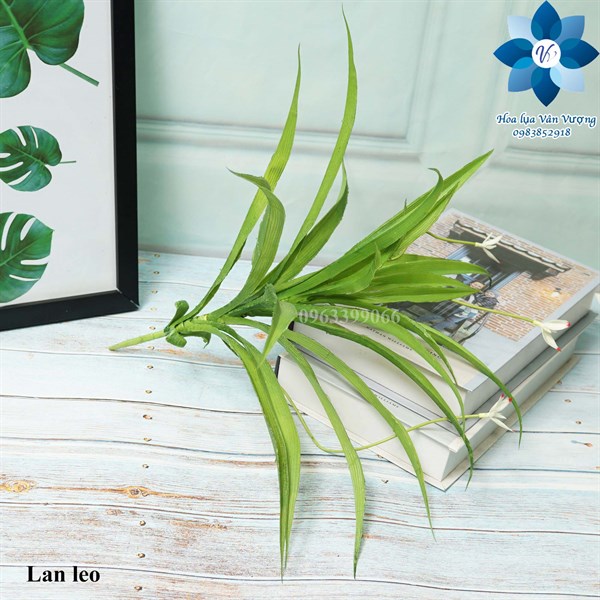Hoa Giả Hoa Lụa 🌺FREESHIP🌺 Lá Dứa 3 Hoa, Lan Leo
