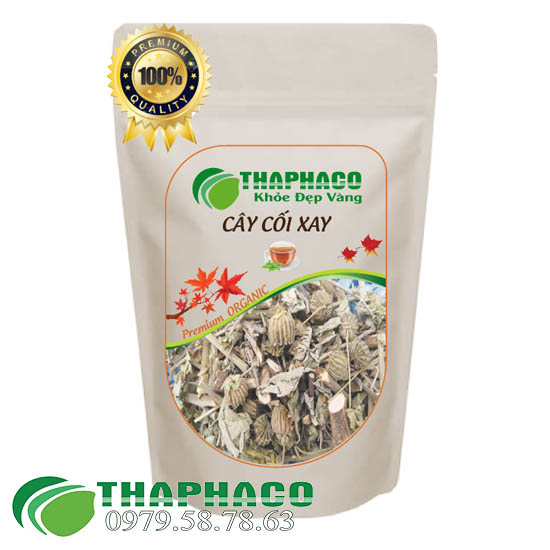 Cây cối xay 100g tốt cho người bị trĩ thaphaco