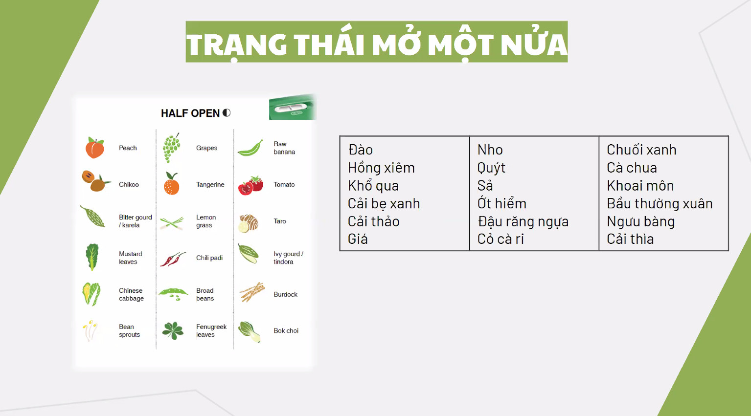 Hộp trữ mát có nút hô hấp Tupperware Ventsmart 1.8L thấp