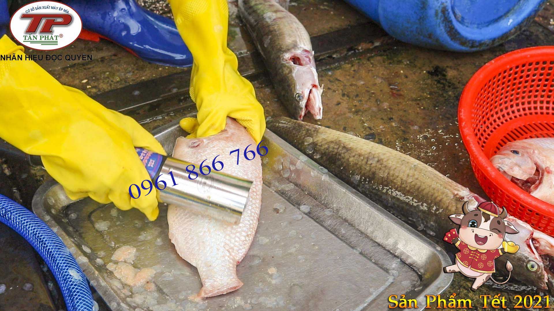Máy đánh vảy cá cầm tay