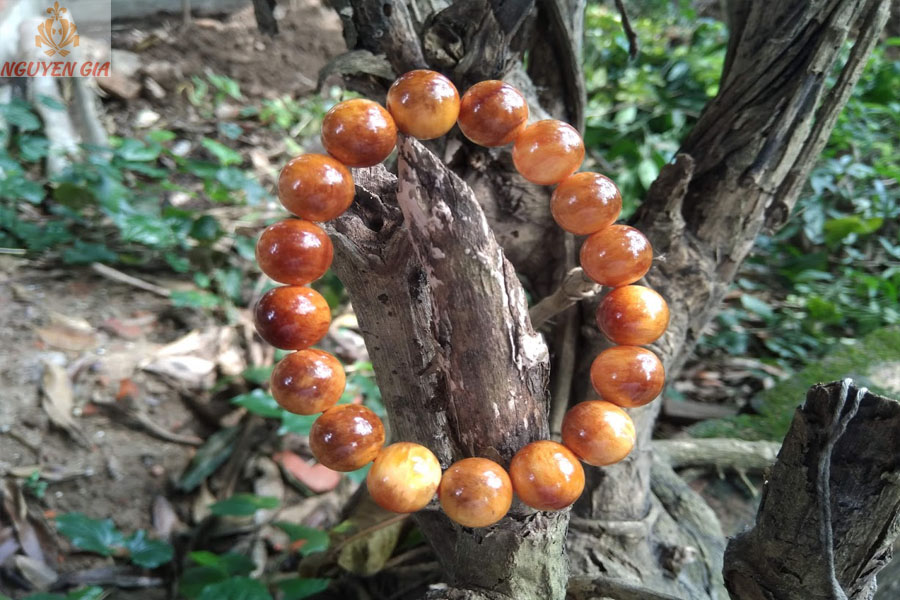 Vòng gỗ huyết rồng (huyết long) 12mm