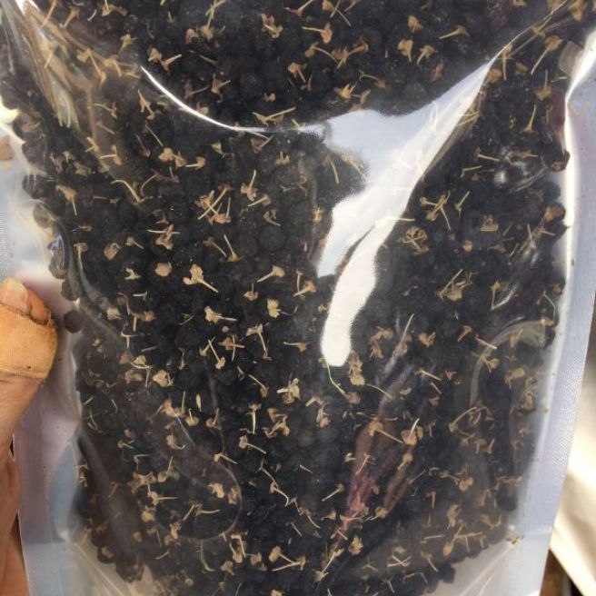 sỉ toàn quốc 500g hắc kỷ tử