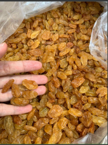 NHO KHÔ VÀNG