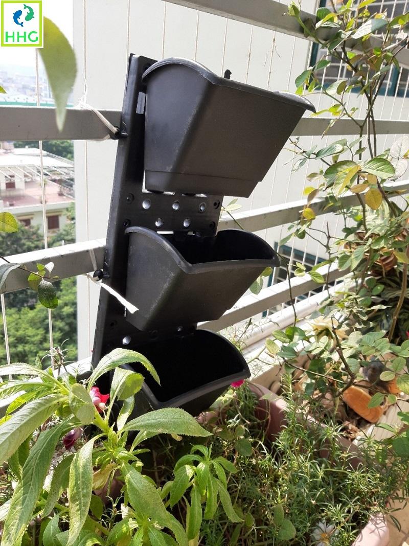 COMBO 5 BỘ CHẬU TREO VƯỜN TƯỜNG THẲNG ĐỨNG